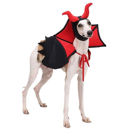 Fang-tastic Vampire Costume