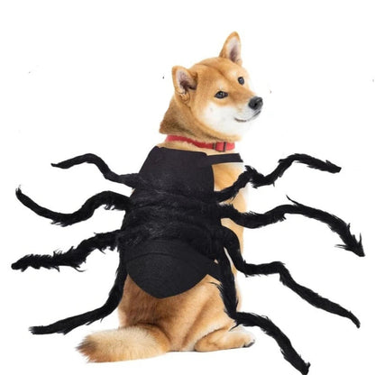 Terror-tula Spider Costume
