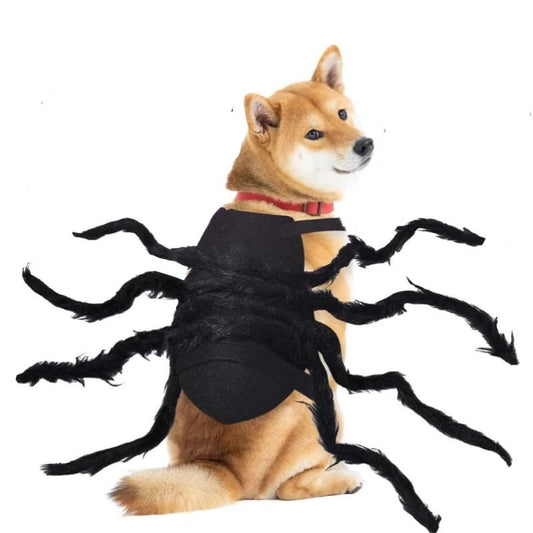 Terror-tula Spider Costume