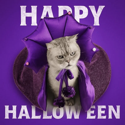 Professor Purrgonagall Witch Cloak or Hat Costume
