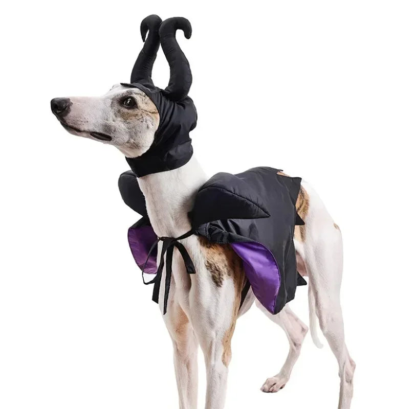 Slumber Spell Witch Costume