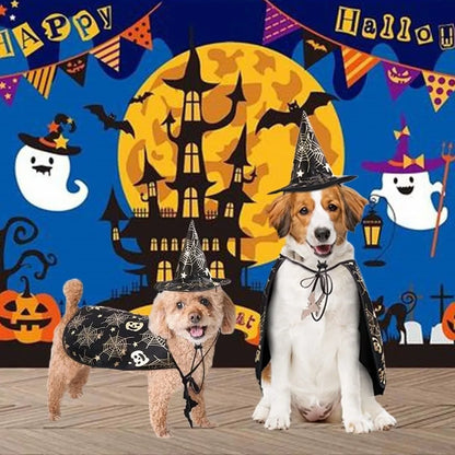 Paw-Kin Pumpkin Cape Set