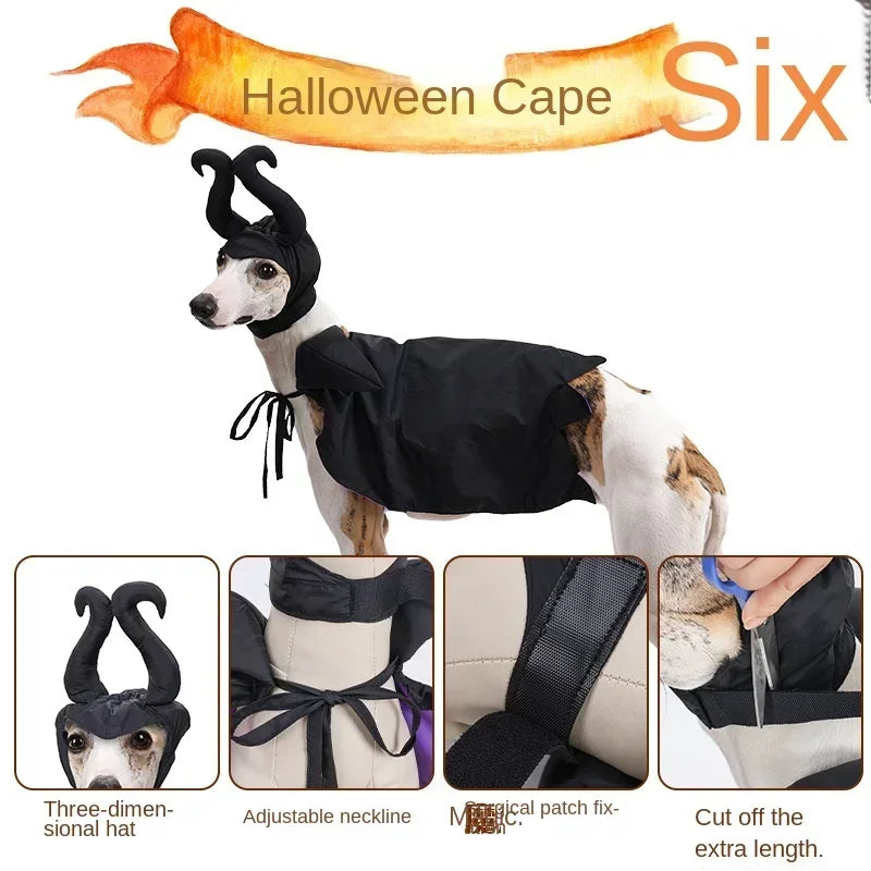 Slumber Spell Witch Costume