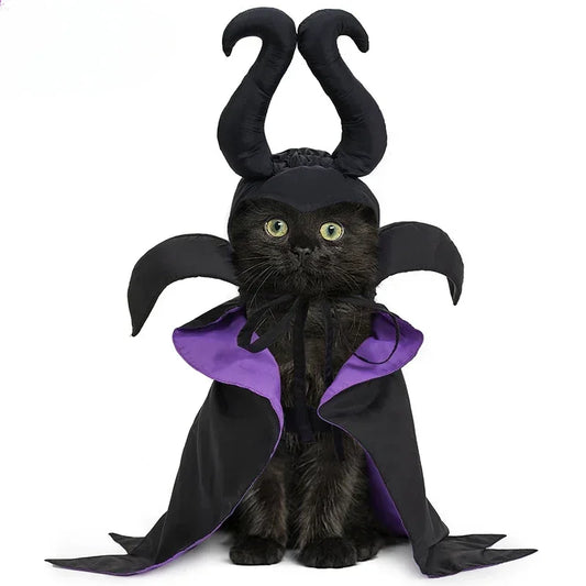 Slumber Spell Witch Costume
