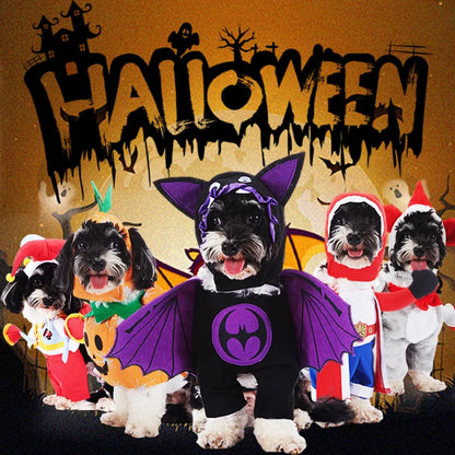 Purple & Black Bat Costume!