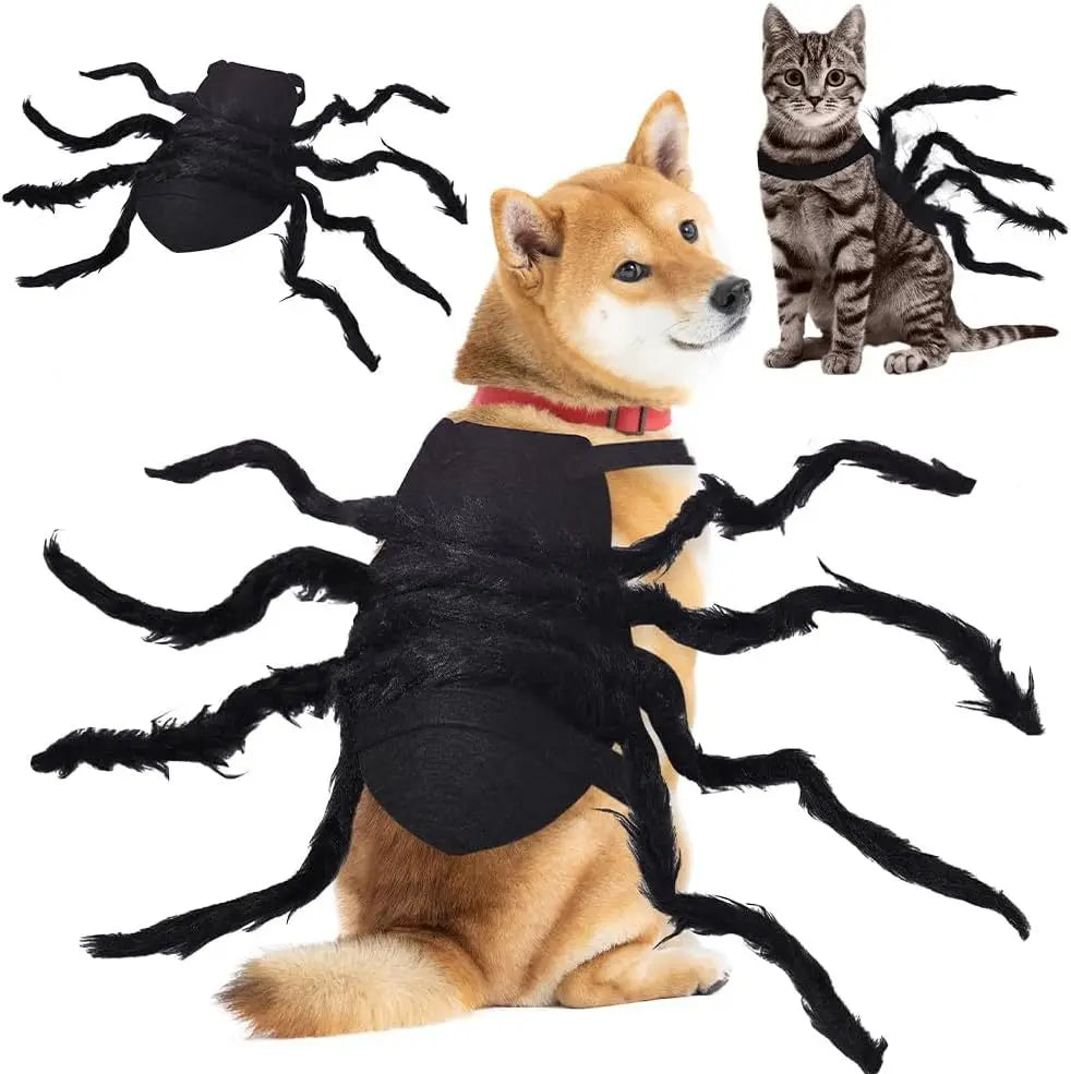 Terror-tula Spider Costume