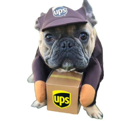 Pawsmail & Pawcel Delivery Costume