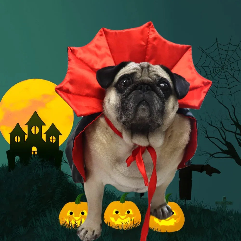 Crimson Fang Pet Vampire Cloak