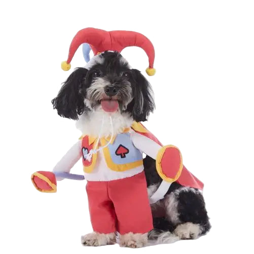 Joker's Wild Pet Costume
