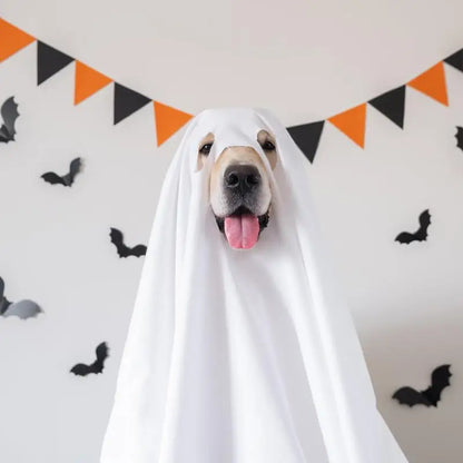 Boo-Buddy Ghostly Cloak Costume