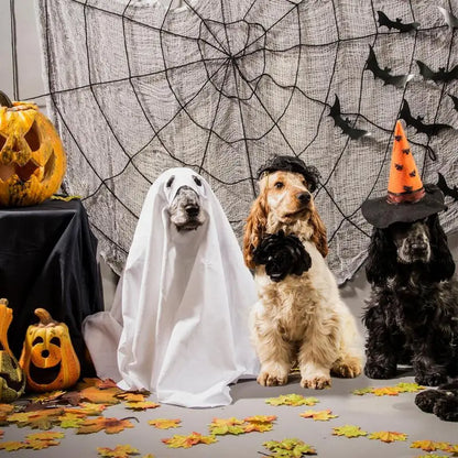 Boo-Buddy Ghostly Cloak Costume