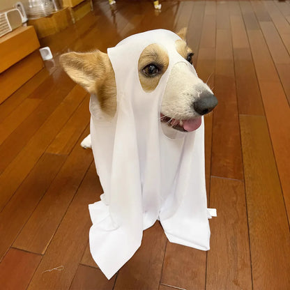 Caspaw the Friendly Ghost