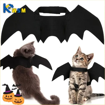 Midnight Mischief Bat Wings Costume
