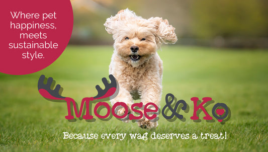 Moose & Ko. Gift Card