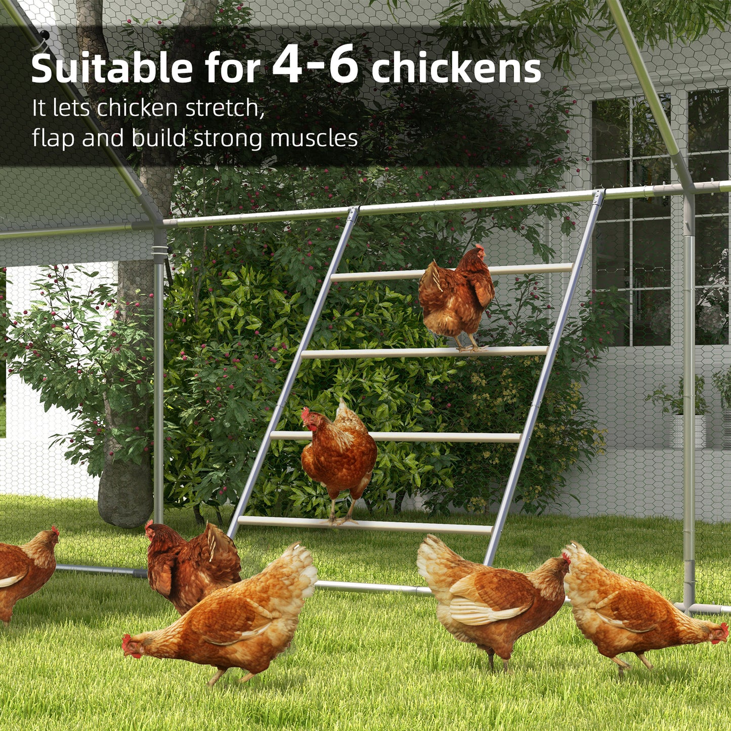 PawHut Chicken Roost for Coop, Jungle Gym Roosting Bar, 55" x 33.75"