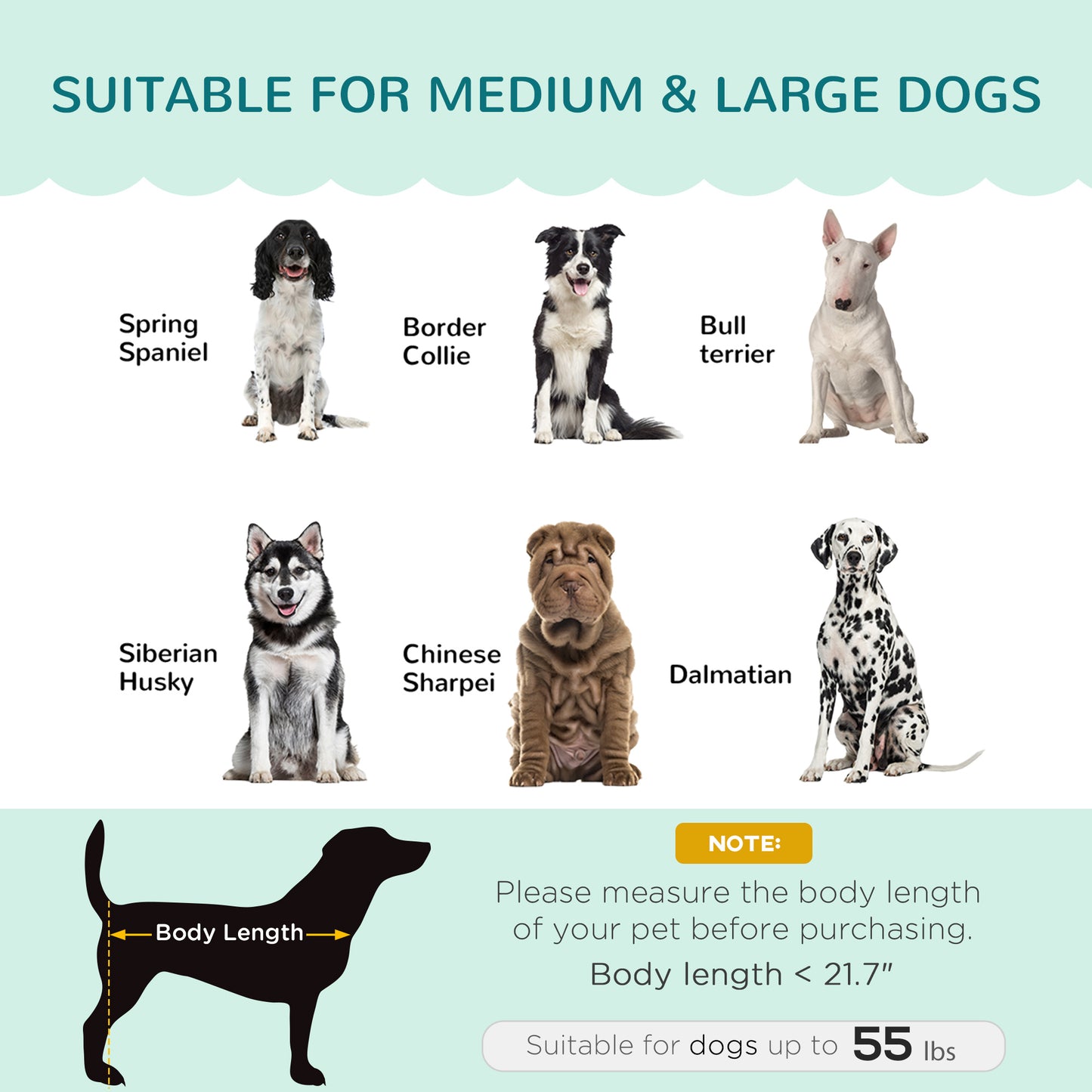 PawHut Pearl Design Pet Sofa for Medium and Large Sized Dogs, Pet Bed with Cushion and Solid Wood Legs, Green